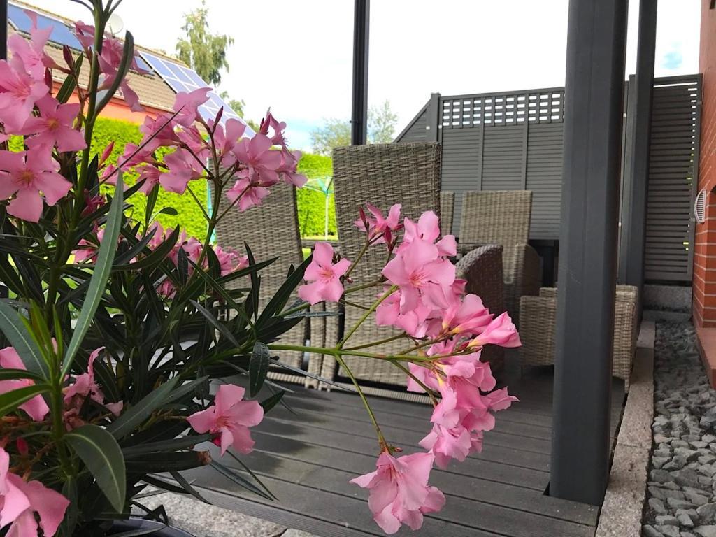 塞巴特黑灵斯多夫Haus Im Gruenen公寓 外观 照片